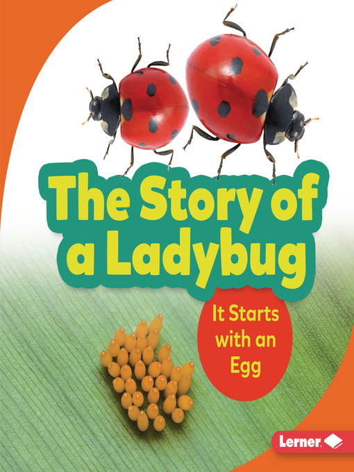 Cover image for The Story of a Ladybug